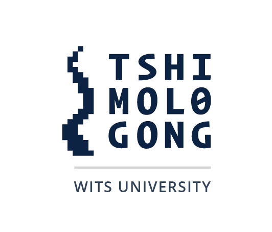 New.Tshimologong-Wits-Hybrid-Logos-01 (2) (3)